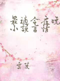最适合夜晚看的小说言情