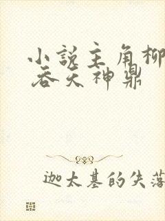 小说主角柳无邪 吞天神鼎