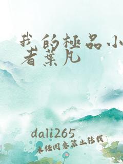 我的极品小姨作者叶凡
