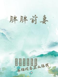 胖胖前妻