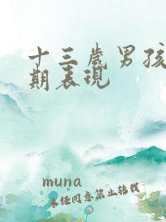 十三岁男孩叛逆期表现