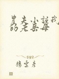农夫小说我和我的老岳母