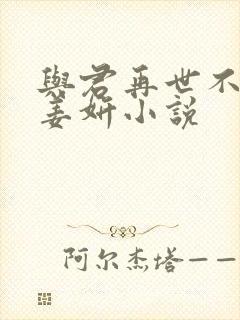 与君再世不相识姜妍小说