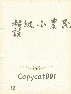 超级小农民的小说