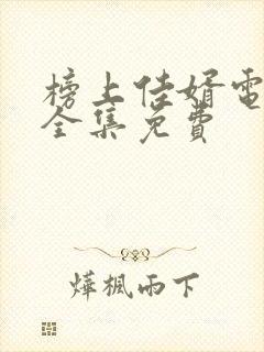 榜上佳婿电视剧全集免费