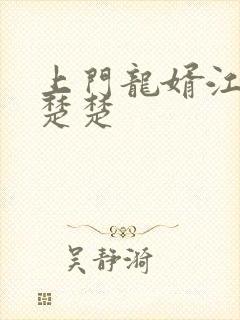 上门龙婿江辰唐楚楚