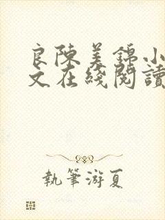 良陈美锦小说全文在线阅读