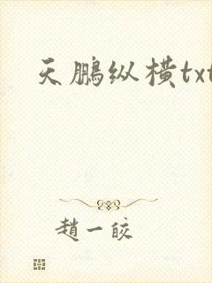 天鹏纵横txt