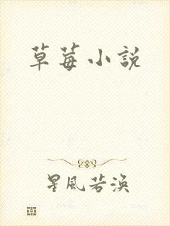草莓小说