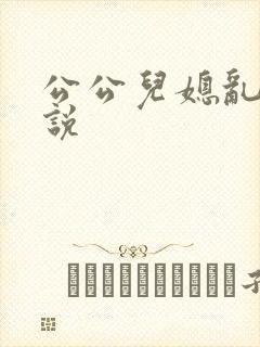 公公儿媳乱论小说