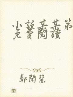 小说某某第一章免费阅读