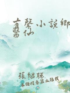 有声小说乡村小医仙