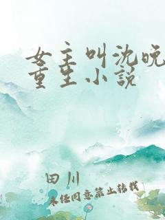 女主叫沈晚晚的重生小说