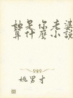 她是你老婆那我算什么小说免费阅读