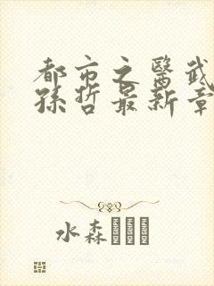 都市之医武风流孙哲最新章节在线阅读