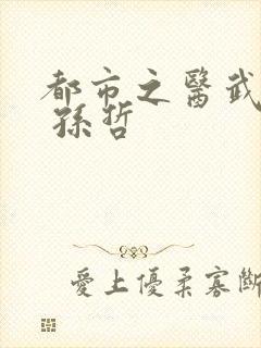 都市之医武双修 孙哲