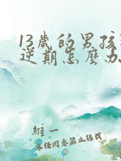 13岁的男孩叛逆期怎么办