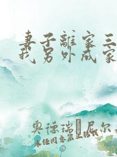 妻子离家三年,我另外成家了小说免费阅读