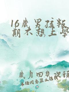 16岁男孩叛逆期不想上学怎么办