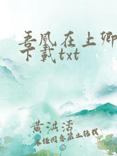 吾凰在上卿在下下载txt