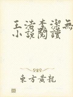 王浩李洁无删减小说阅读