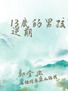 13岁的男孩叛逆期