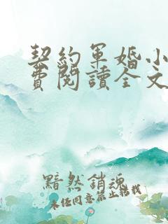 契约军婚小说免费阅读全文