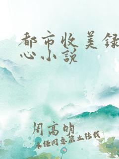 都市收美录宁素心小说