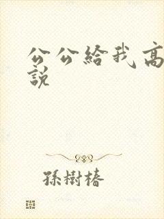 公公给我高潮小说