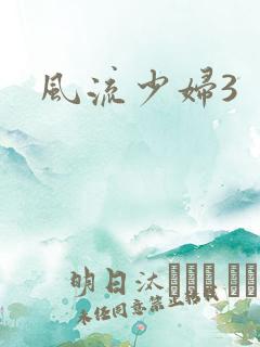 风流少妇3