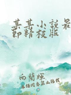 某某小说最新章节精校版