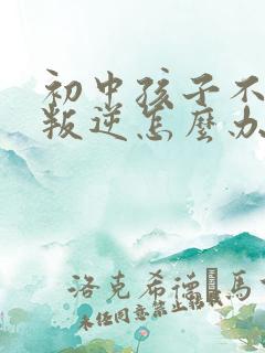 初中孩子不上学叛逆怎么办