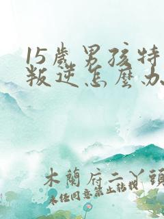 15岁男孩特别叛逆怎么办
