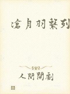 沧月羽系列