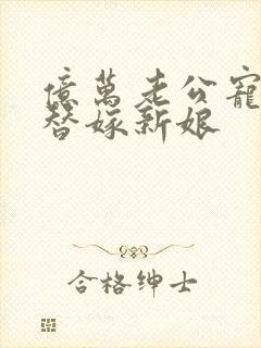 亿万老公宠上天替嫁新娘