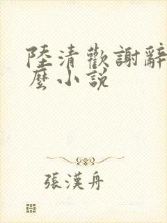 陆清欢谢辞是什么小说