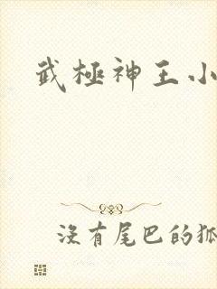 武极神王小说