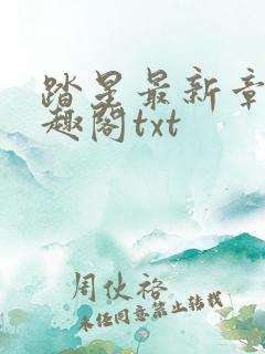 踏星最新章节笔趣阁txt