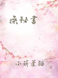 操秘书