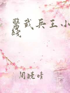 医武兵王小说在线