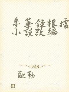 梦华录根据什么小说改编