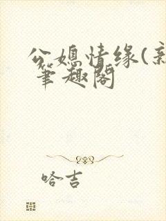公媳情缘(新) 笔趣阁