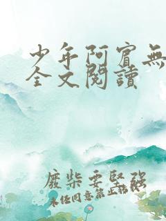 少年阿宾无删减全文阅读