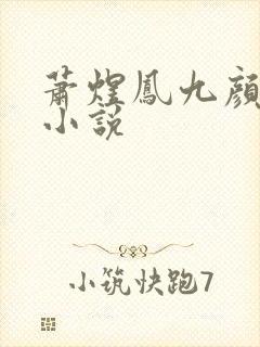 萧煜凤九颜正版小说