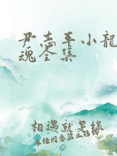 尹志平小龙女销魂全集