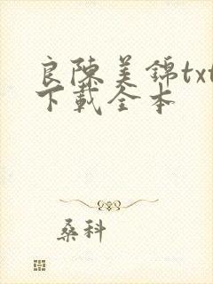 良陈美锦txt下载全本