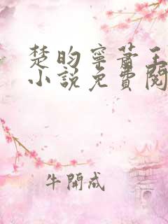 楚昀宁萧王穿越小说免费阅读无弹窗