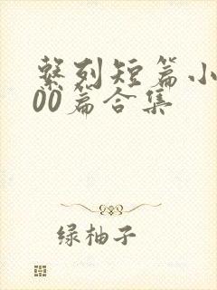 系列短篇小说500篇合集
