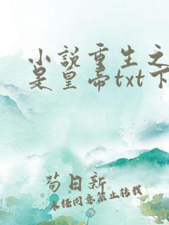 小说重生之老子是皇帝txt下载