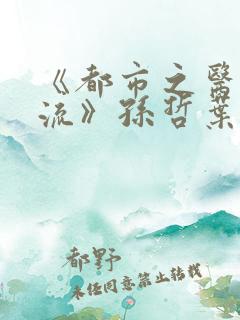 《都市之医武风流》孙哲叶巧朱颜